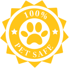 Little Lantern Light LLC